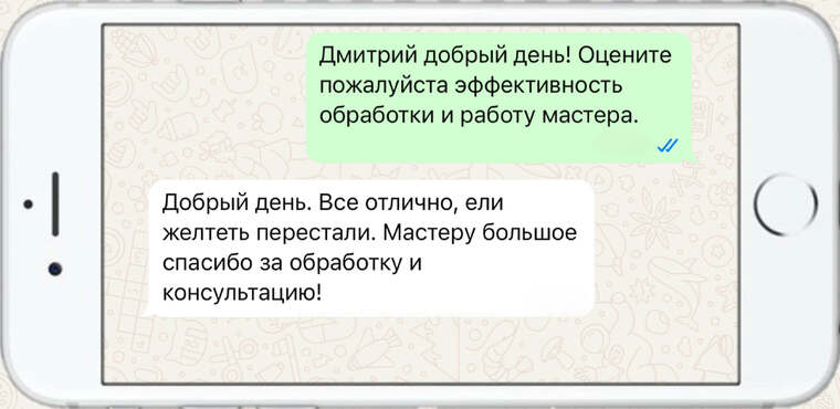 лечение деревьев от насекомых вредителей - фото №11