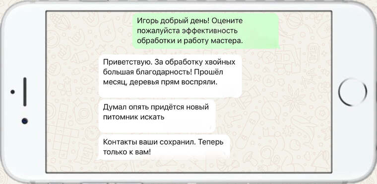 лечение деревьев от насекомых вредителей - фото №12