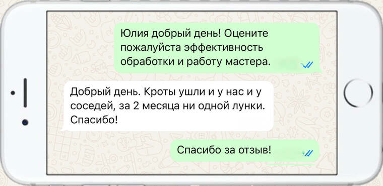 лечение деревьев от насекомых вредителей - фото №16