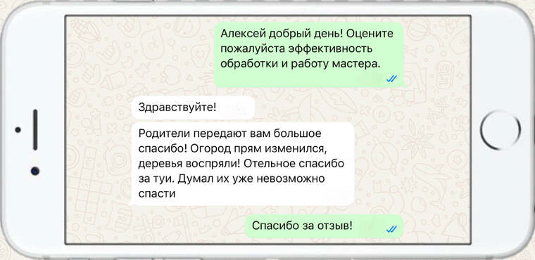 лечение деревьев от насекомых вредителей - фото №18