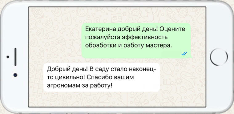 лечение деревьев от насекомых вредителей - фото №21