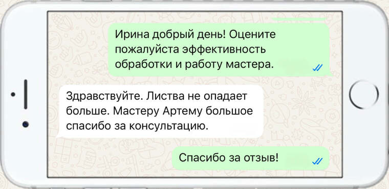 лечение деревьев от насекомых вредителей - фото №22